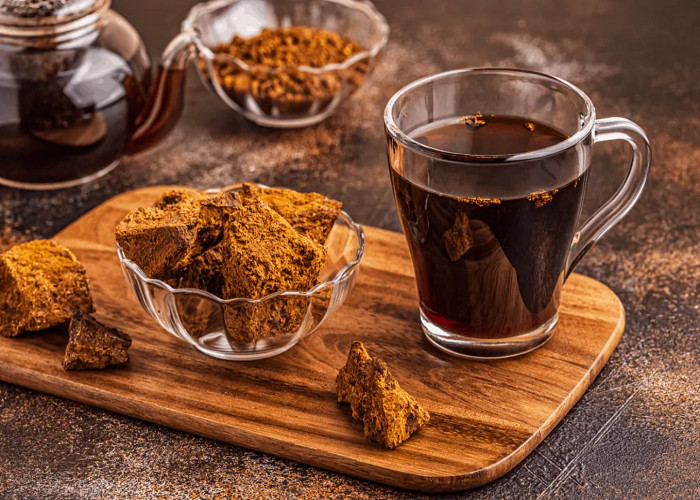 A Comprehensive Guide On Chaga Mushroom Benefits